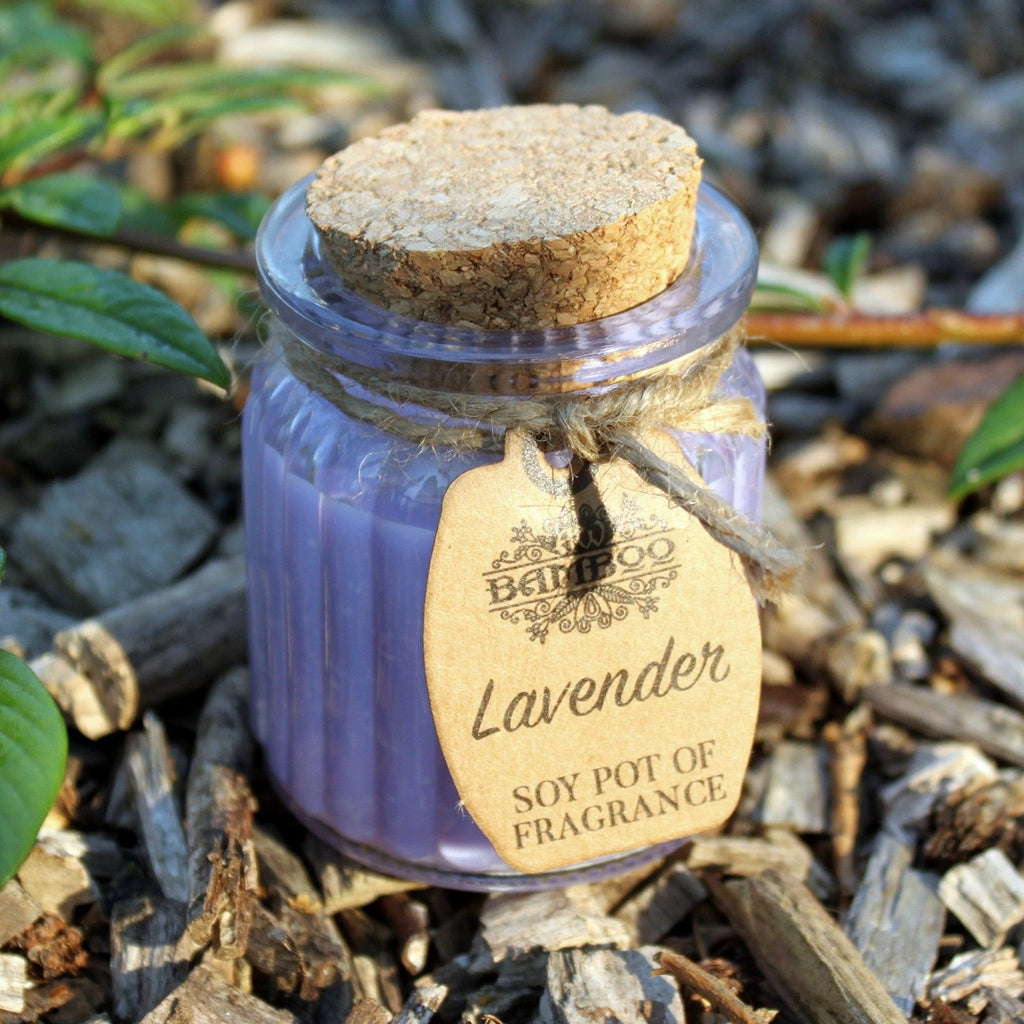 Lavender Soy Pot of Fragrance Candle