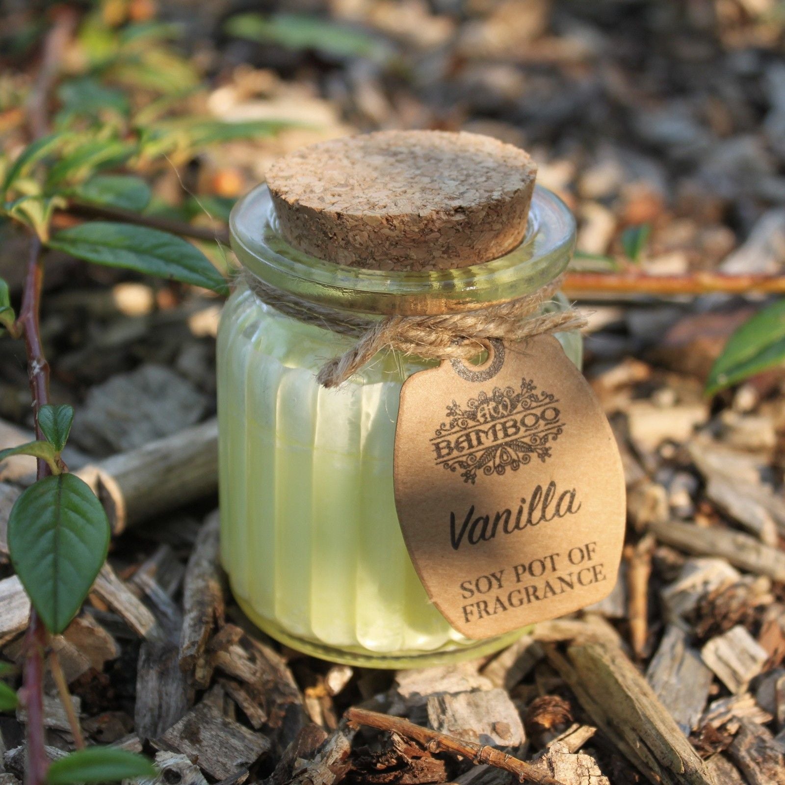 Fresh Vanilla Soy Pot of Fragrance Candle